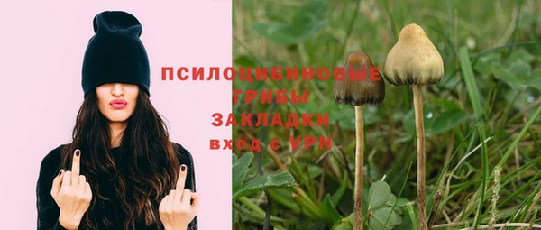МДПВ Горняк