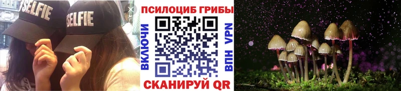 Купить закладки Лысково Галлюциногенные грибы Psilocybe